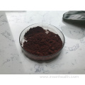 Natural Proanthocyanidins 95% Pine Bark Extract Powder